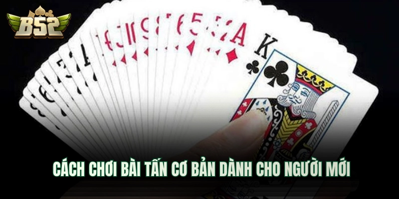 Cách chơi bài tấn cơ bản dành cho người mới